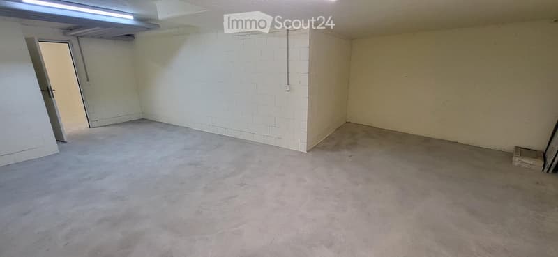Empty room with white walls, gray floor, door, and a light on the ceiling