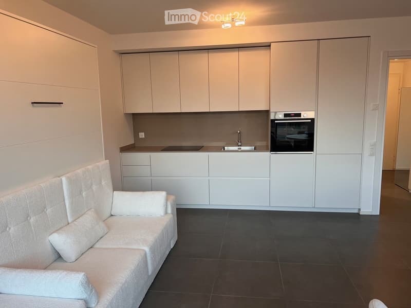 modern kitchen with white cabinets, black tiled floor, white couch, white pillows, built-in oven, sink, faucet, and lights