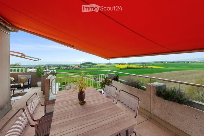 wooden table, chairs, red awning, green field view