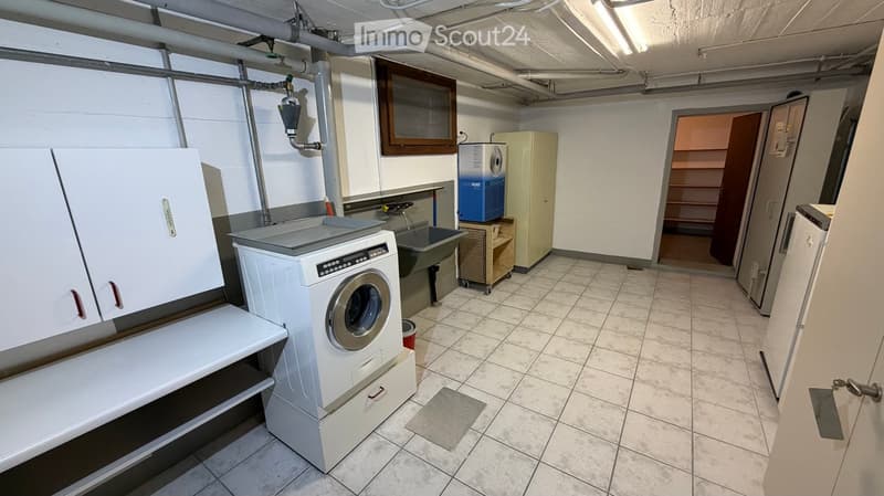 washer, dryer, cabinets, shelf, sink, bucket