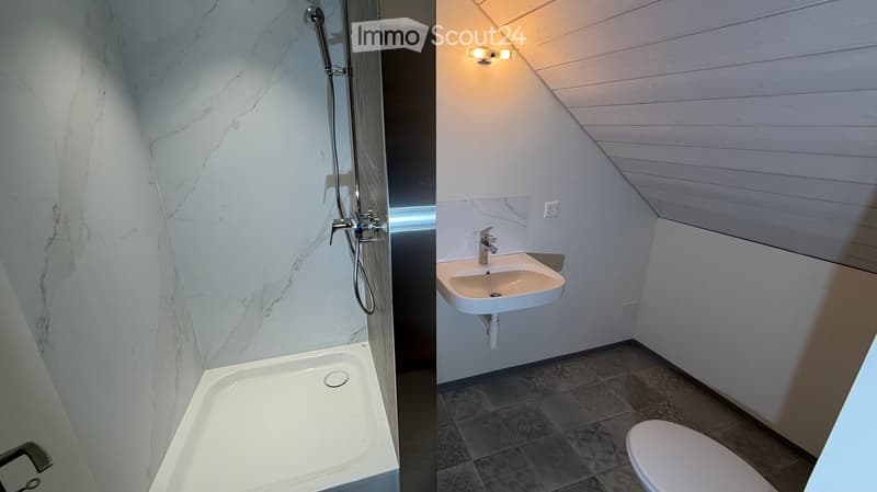 White marble shower, white sink, white toilet, wooden wall paneling