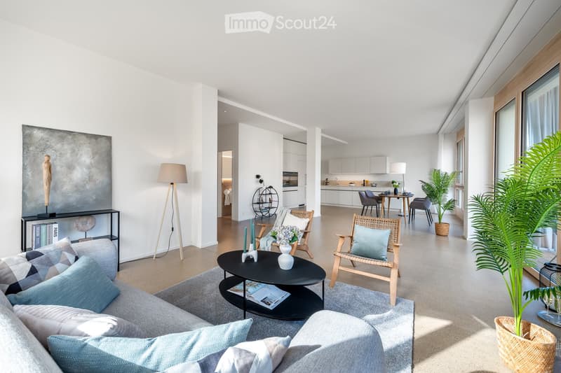 modern design, white walls, gray couch, black coffee table, floor lamp, plants, open kitchen, dining table, large windows