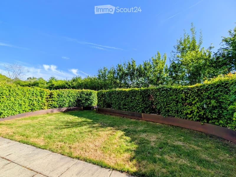 well-maintained garden with neatly trimmed hedges, a small lawn area, and a paved pathway