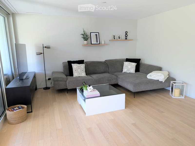 Living room with a gray sectional sofa, white coffee table, black TV stand, floor lamp, and a glass window.