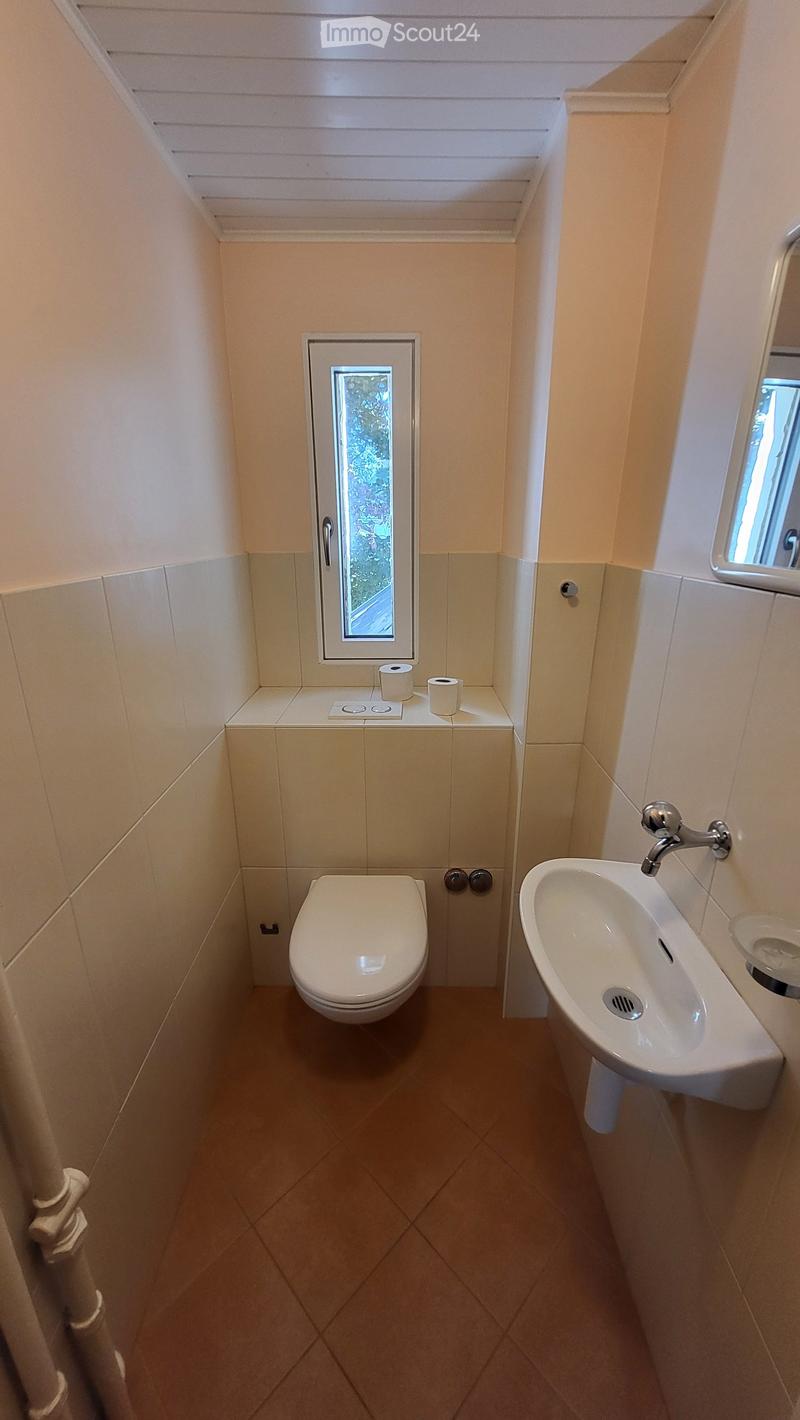 small bathroom with toilet, sink, and window