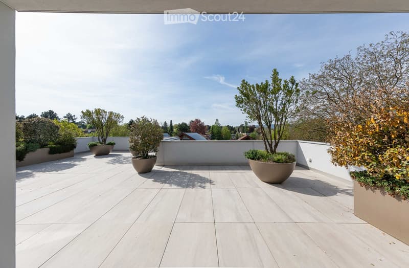 Outdoor area with wooden flooring and several large planters with plants.