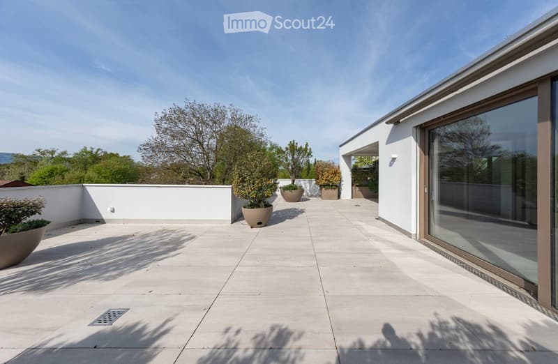 A modern terrace with a tiled floor, white walls, and large glass doors. Potted plants are placed around the terrace, and there is a drain in the floor.