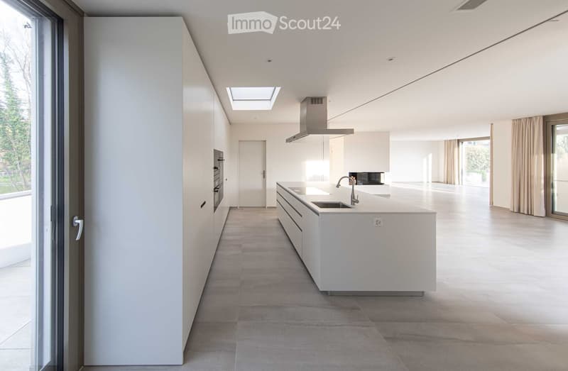 Modern kitchen with white cabinets, a central island, and a sleek sink. The room features a skylight and a glass door leading to an outdoor area.