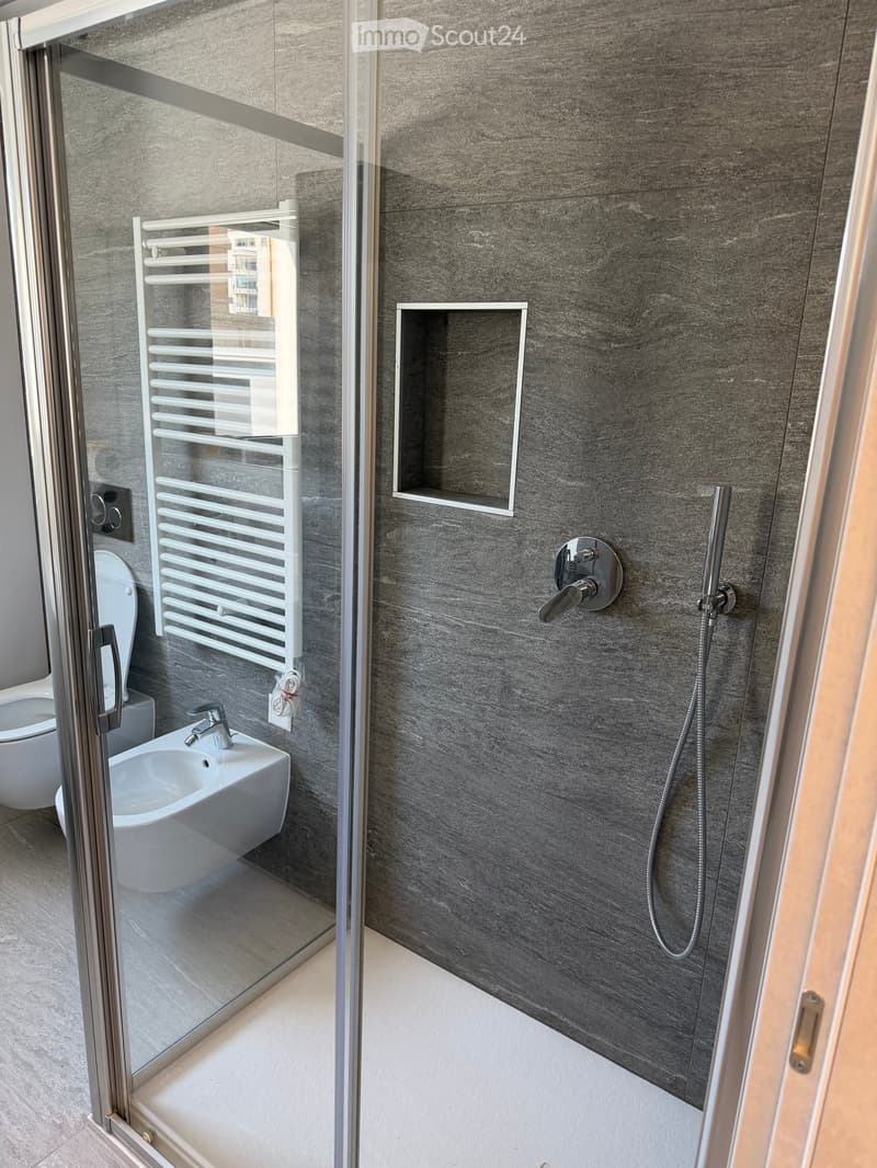Appartement à Chiasso 2.5 (4)