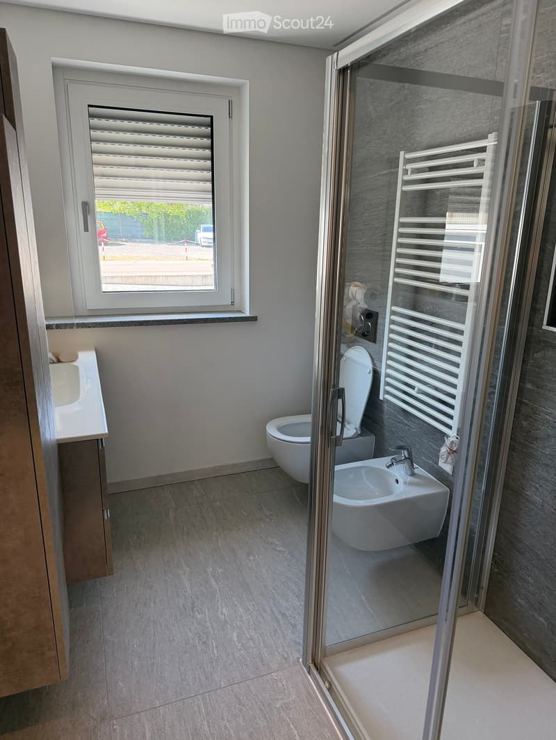 Appartement à Chiasso 2.5 (3)