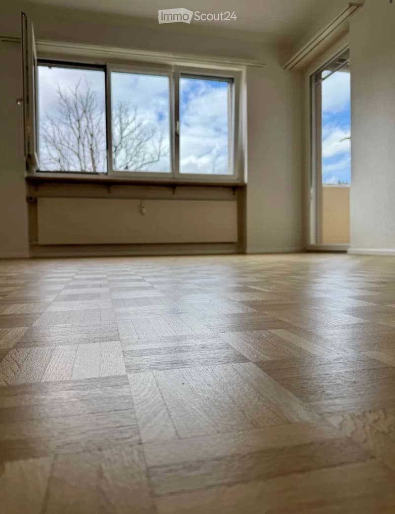 Charming 4.5-room apartment in a quiet location in Zunzgen (2)
