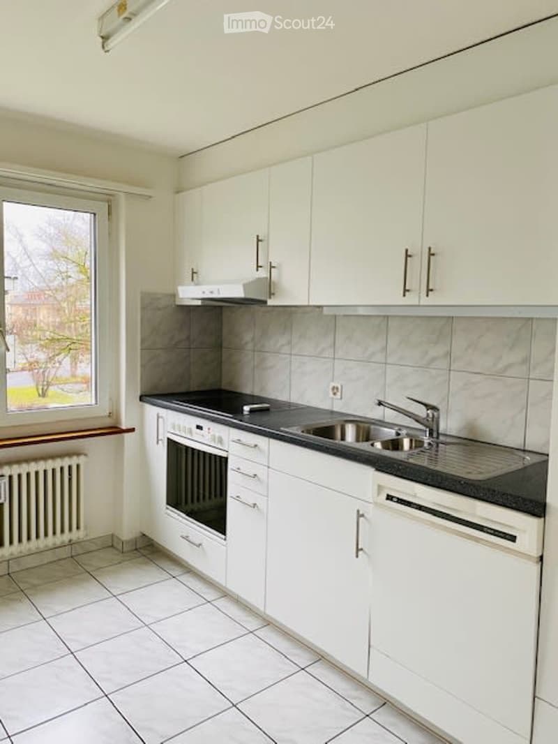 Sunny and quiet 3-room apartment in Reinach - directly at the recreational area (5)