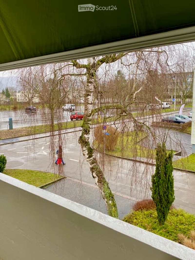 Sunny and quiet 3-room apartment in Reinach - directly at the recreational area (4)