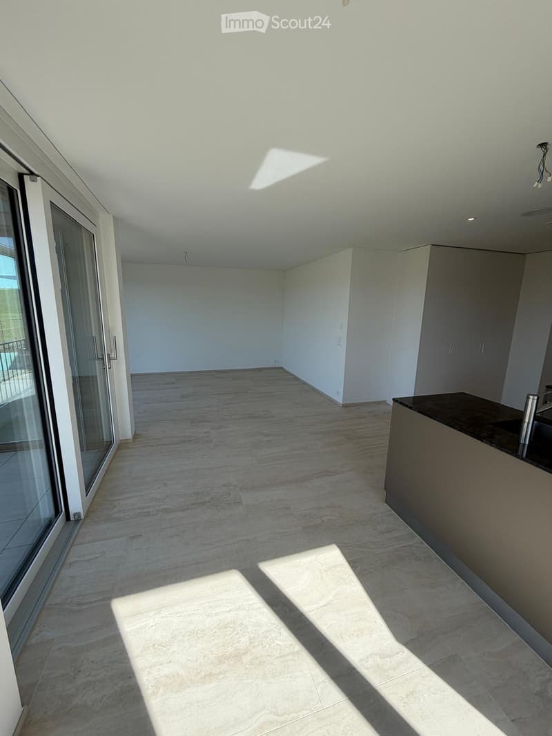 Empty room with white walls, wooden floor, sliding glass doors, and a kitchen area with a countertop and sink.