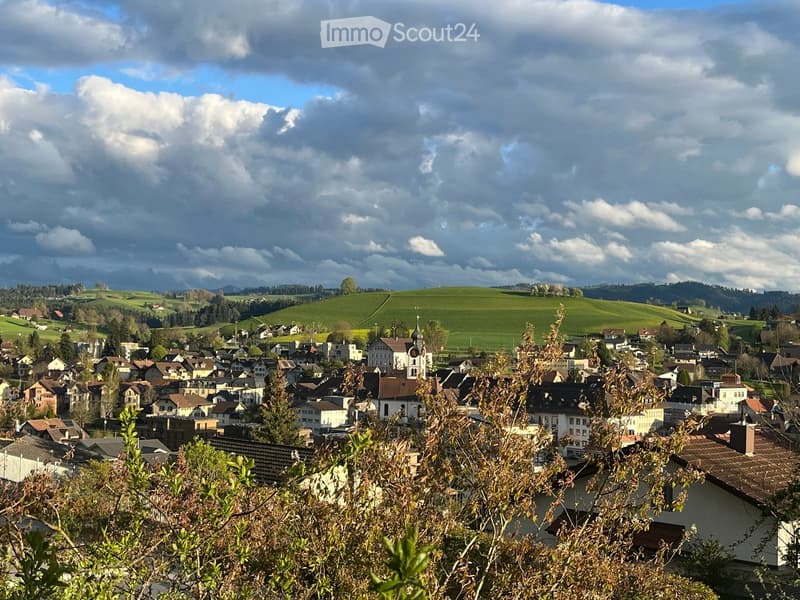 Aerial view of a town with many buildings, a green hill in the background, and a cloudy sky.