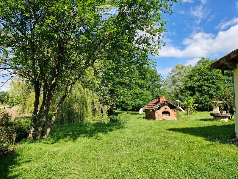 Garden / Outdoor Area. Lush green garden with a brick barbecue, trees, and a clear blue sky.
