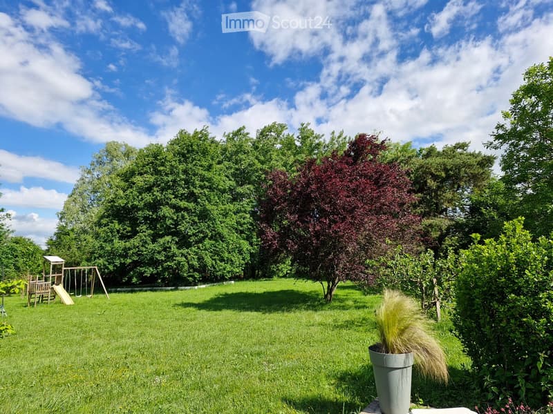 Garden / Outdoor Area. A well-maintained garden with a grassy lawn, a small wooden play structure, and various trees and shrubs, including a prominent red-leaved tree.