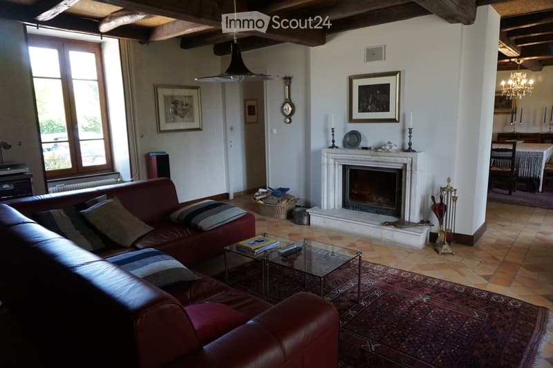 Charming 18th-century castle in Savigny-en-Revermont (4)