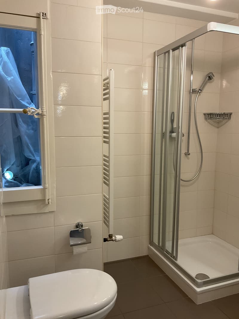 Bathroom. Modern bathroom with a toilet, a glass-enclosed shower, a radiator, and a window with a blue curtain.