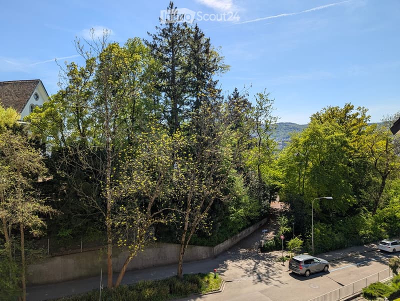 Trees, plants, road, cars, mountains in the distance