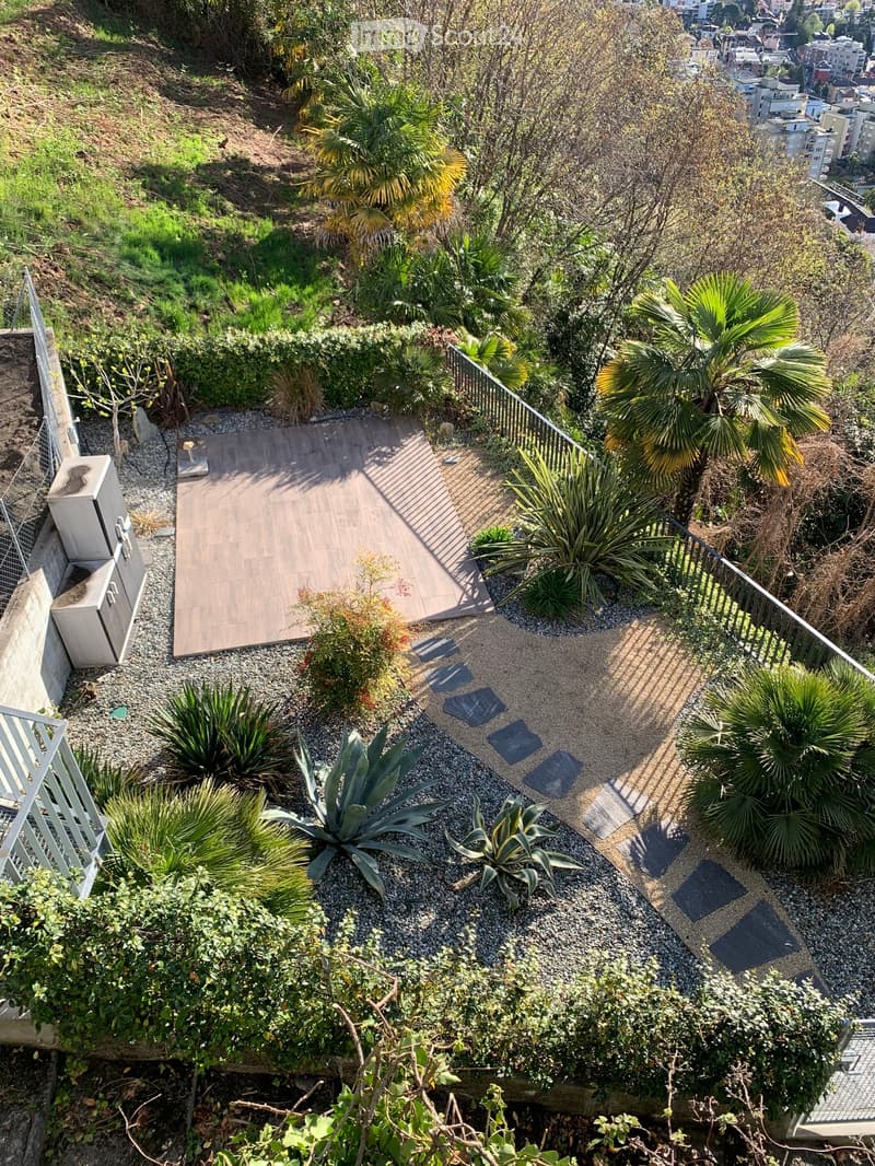 deck, garden, gravel and stone paths, palm trees, plants, shrubs