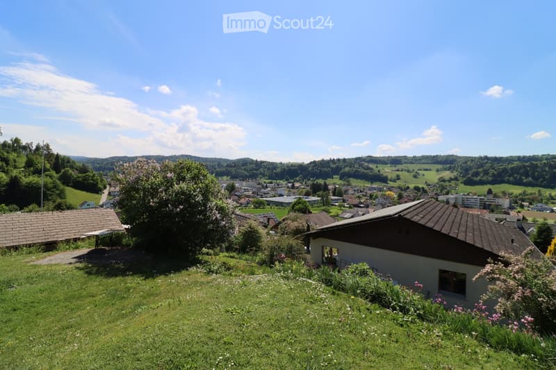 A panoramic view of a rural village with houses, green fields, and trees under a clear blue sky.