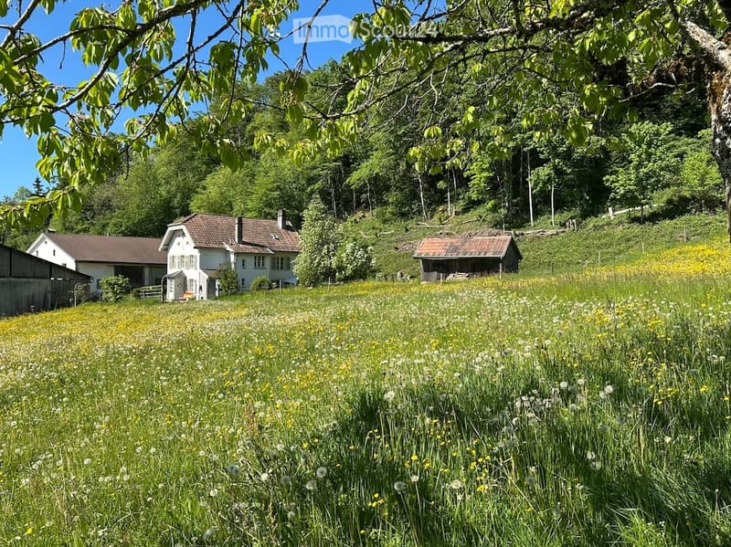 Garden / Outdoor Area. A serene garden area with a white house, surrounded by lush greenery and wildflowers, with additional structures visible in the background.