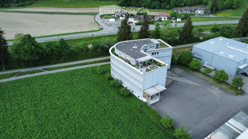 Building. A modern, curved building with a flat roof and a small garden area on the roof, surrounded by greenery and a parking lot.