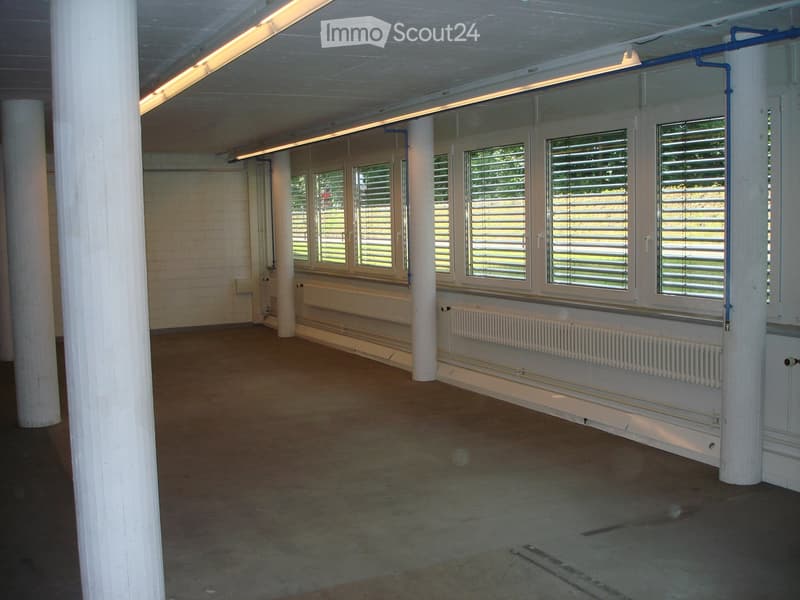 Unfurnished Room. Empty room with concrete floor, white brick walls, large windows with shutters, radiators, and white columns.