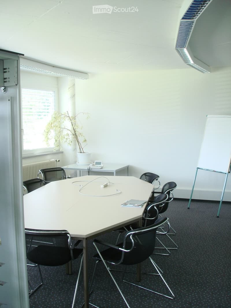 Furnished Room. A modern conference room with a large round table surrounded by black chairs, a potted plant, a telephone, and a radiator near the window.