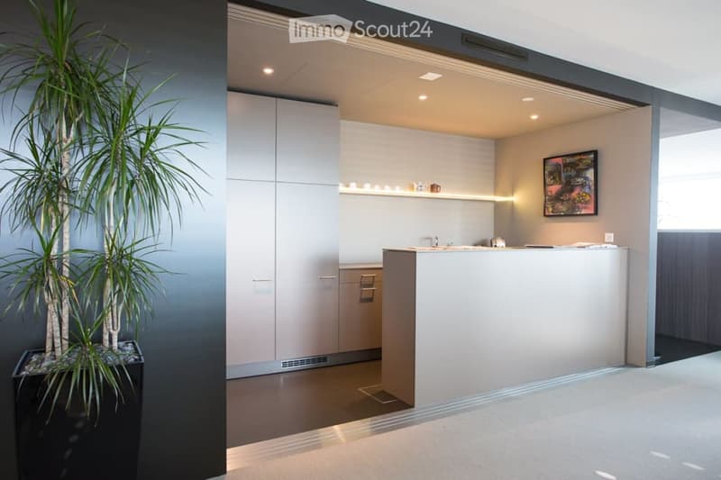 Vista magica Parktower Zug - ufficio completamente arredato (12 posti di lavoro) (6)