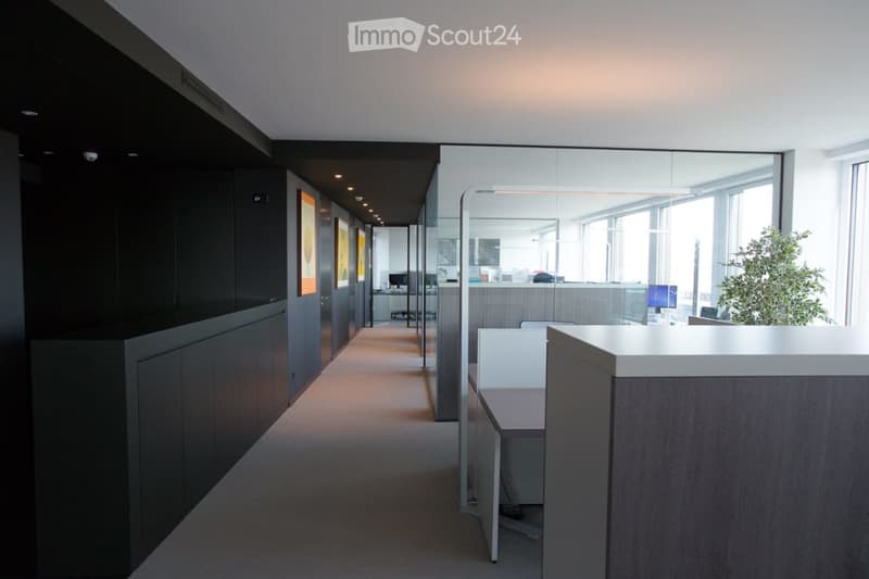 Vista magica Parktower Zug - ufficio completamente arredato (12 posti di lavoro) (4)