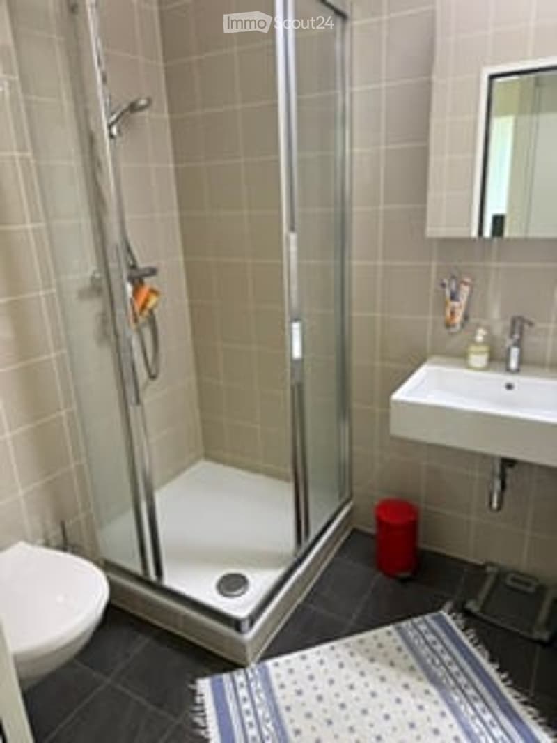 Bathroom. Modern bathroom with a glass-enclosed shower stall, toilet, sink with mirror, and a small red waste bin. The floor is tiled in dark gray, and a patterned rug is placed in front of the shower.