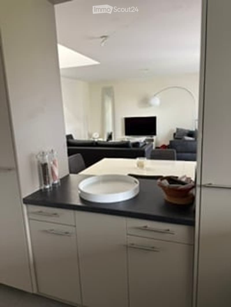 Furnished Room. Modern kitchen with sleek white cabinets, black countertop, and a small living area visible in the background with a sofa, TV, and floor lamp.