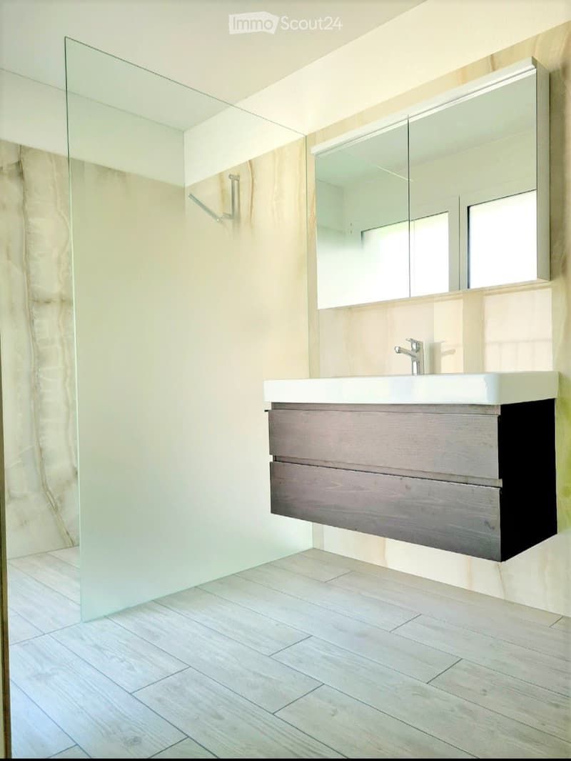 Bathroom. Modern bathroom with a white sink, wooden vanity, large mirror, and glass shower enclosure.