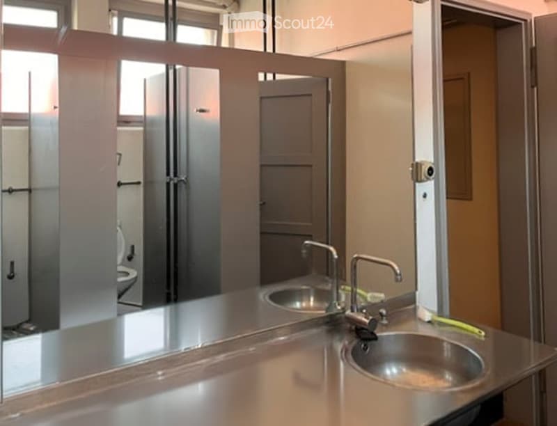 Modern bathroom with stainless steel sink, chrome faucet, and large mirror reflecting a toilet and shower stall.