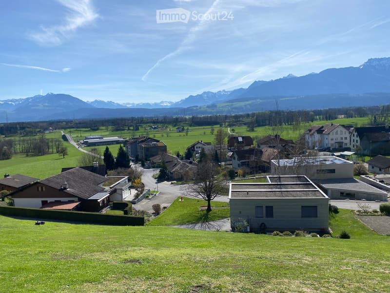 A rural village with houses, green fields, and mountains in the background.