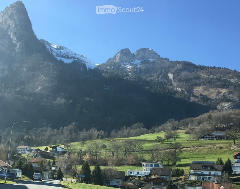 A picturesque village nestled in a lush green valley with snow-capped mountains in the background. The village features several houses with various architectural styles, surrounded by trees and open fields.