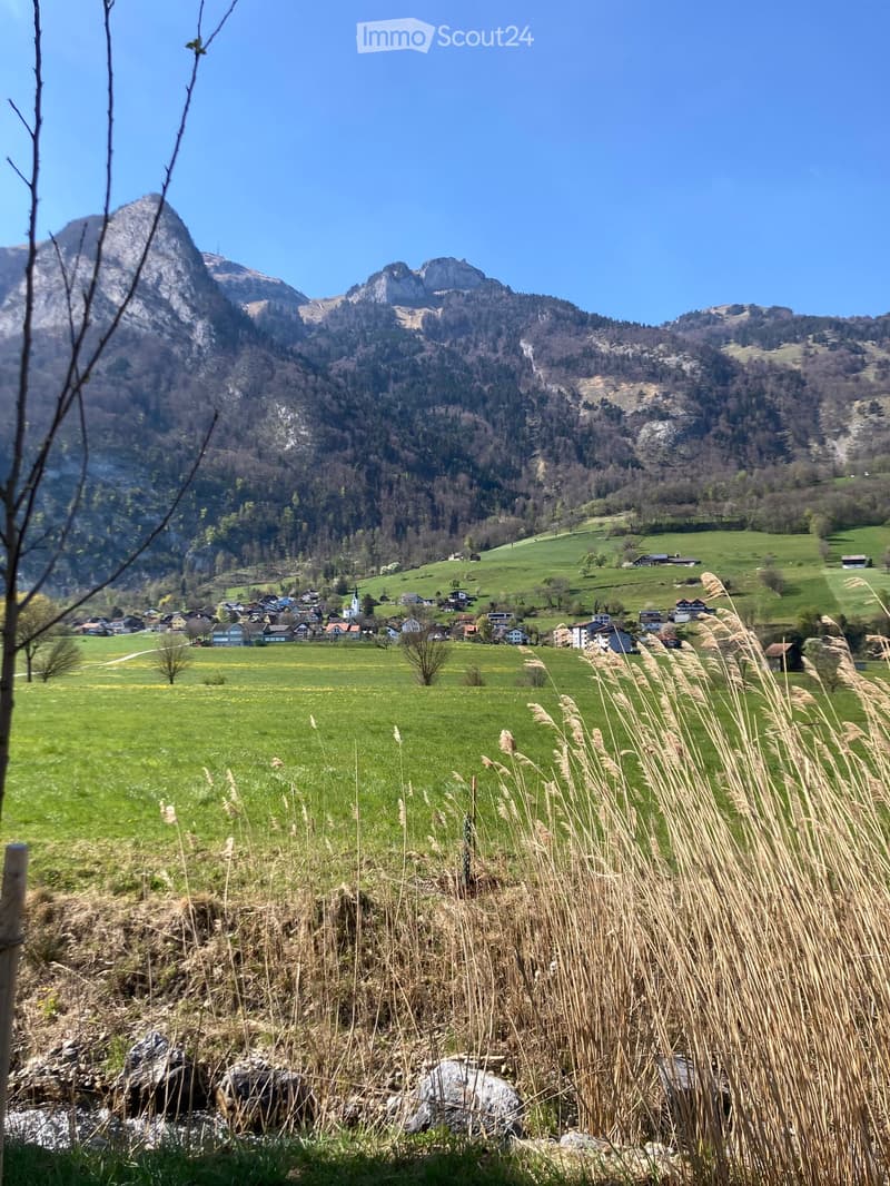 A picturesque village nestled in a lush green valley surrounded by mountains. The foreground features tall grasses and a small stream, while the background showcases scattered houses and a church steeple amidst rolling hills and dense forests.