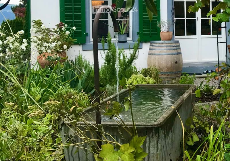 green plants, flowers, rustic house, garden with flowers, wooden barrel, water fountain