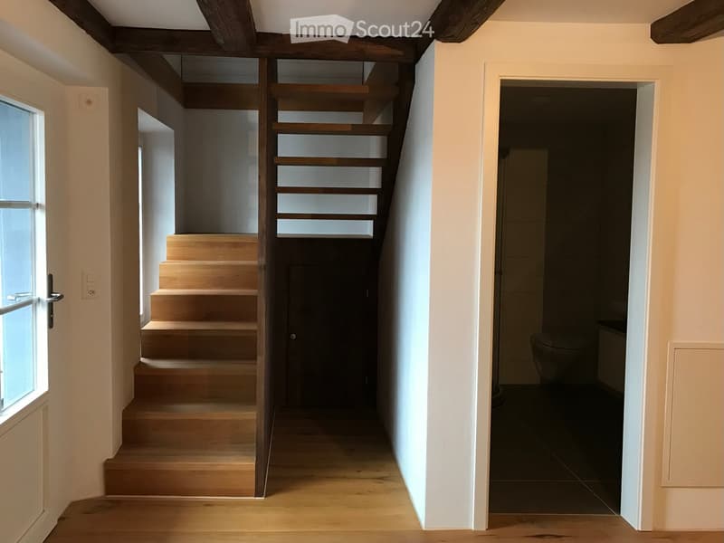 Wooden staircase, white walls, wooden floor, window, door, toilet, entrance