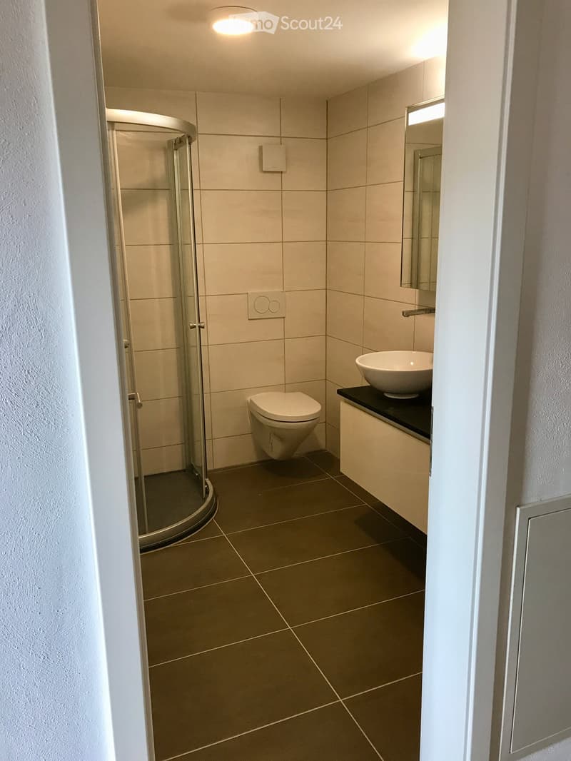 small bathroom with glass shower, white sink, white toilet, tiled floor, white and dark tiles, mirror, light fixture
