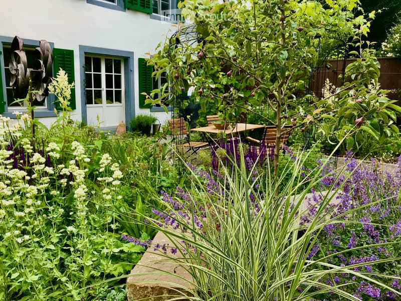 A garden with various plants, trees, flowers, and a wooden table with chairs. The plants include lavender, white flowers, purple flowers, and tall grass. A garden hose is visible.