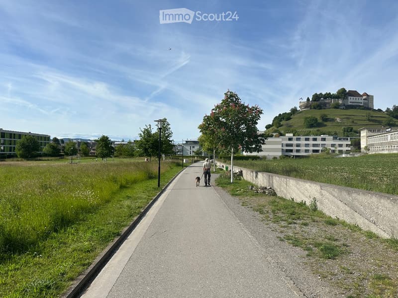 A paved pathway lined with grass and trees, with a person walking a dog. In the background, there are modern buildings and a hill with a castle-like structure.