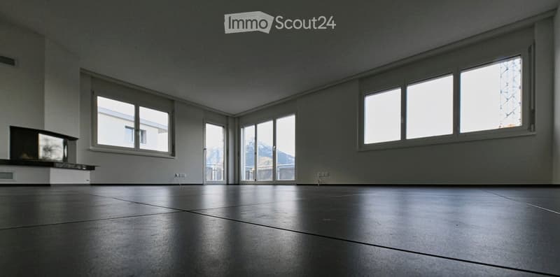 Empty room, fireplace, sliding doors, windows, smooth black flooring