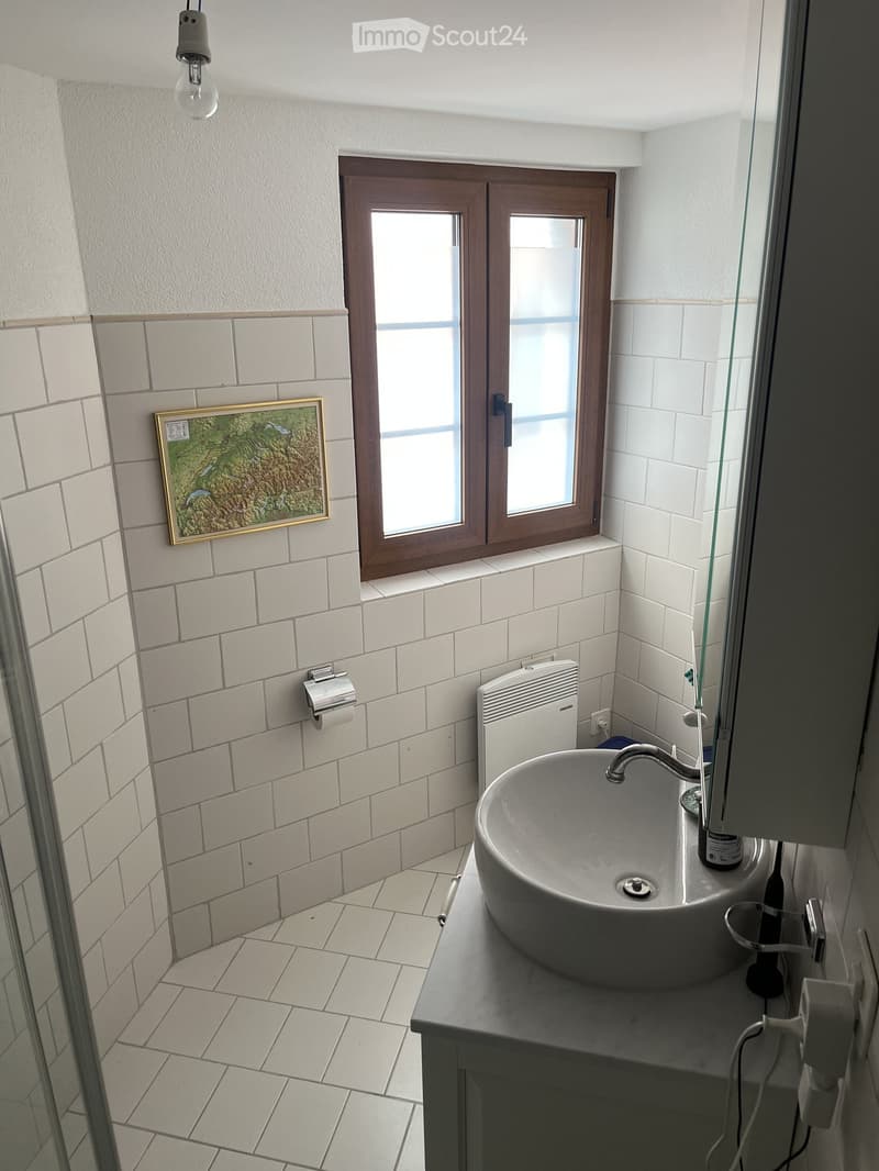 Modern bathroom with white tiled walls and floor, a sink with a modern faucet, a radiator, a toilet paper holder, and a framed picture on the wall. A window with wooden frame provides natural light.