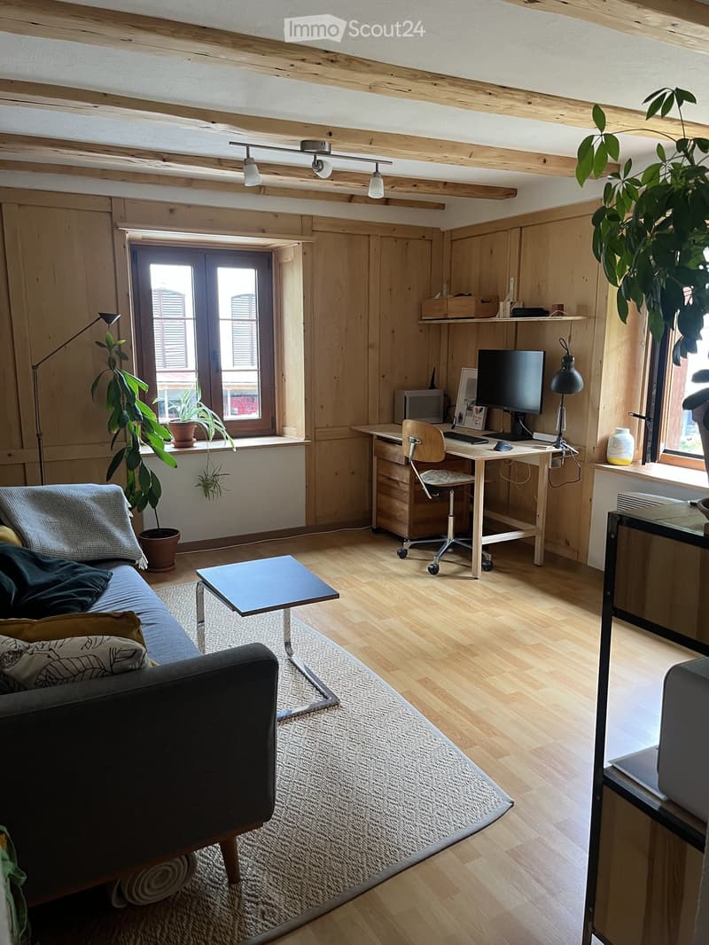A modern, open-concept living and working space with wooden walls and floors, a sofa, coffee table, desk with computer, and plants.