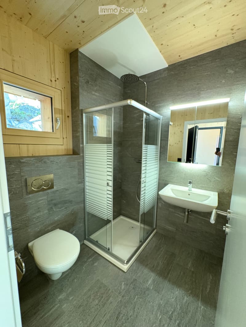 Modern bathroom with a shower, toilet, sink, mirror, and wooden ceiling.