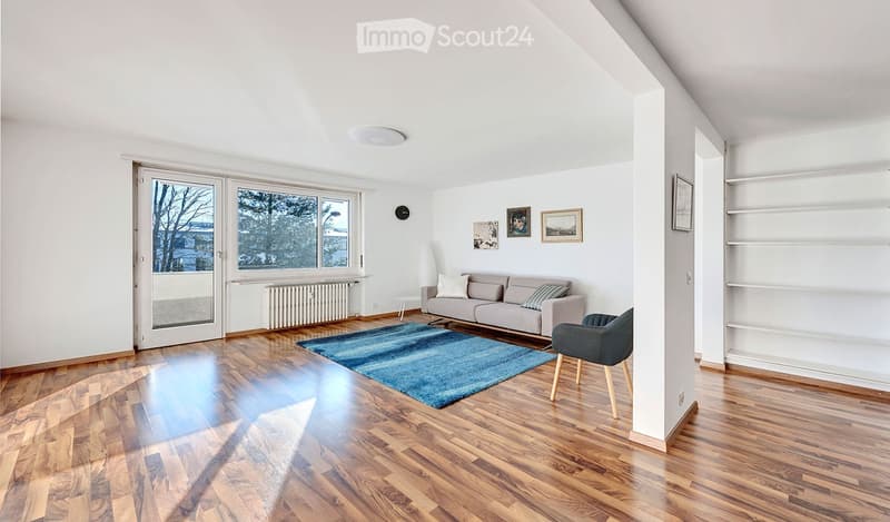 living room with wooden floor, white walls, large windows, sliding glass door to balcony, gray sofa, blue rug, white shelves, radiator, clock, framed pictures
