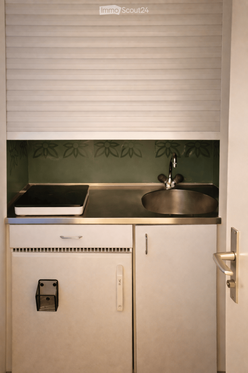 Small sink, induction hob, cabinets, door, metal wall, wall roll